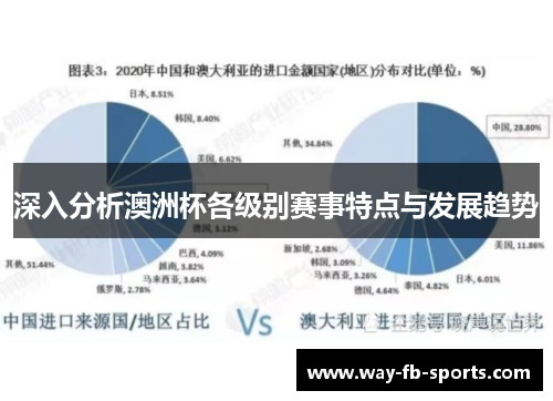 深入分析澳洲杯各级别赛事特点与发展趋势
