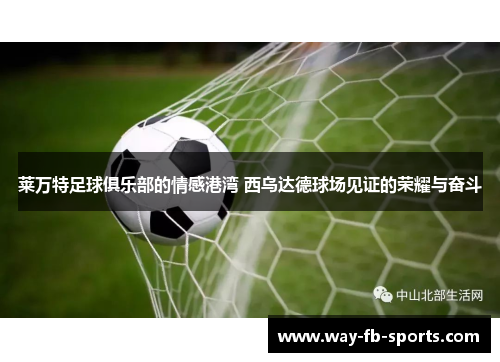 莱万特足球俱乐部的情感港湾 西乌达德球场见证的荣耀与奋斗