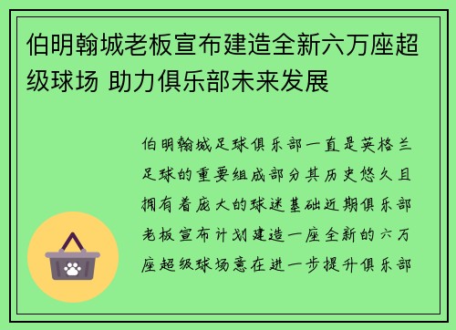 伯明翰城老板宣布建造全新六万座超级球场 助力俱乐部未来发展 伯明翰城老板宣布建造全新六万座超级球场 助力俱乐部未来发展